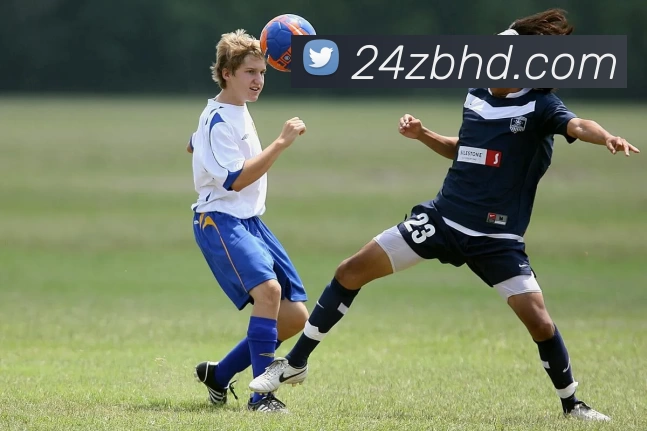 24直播官网品牌故事