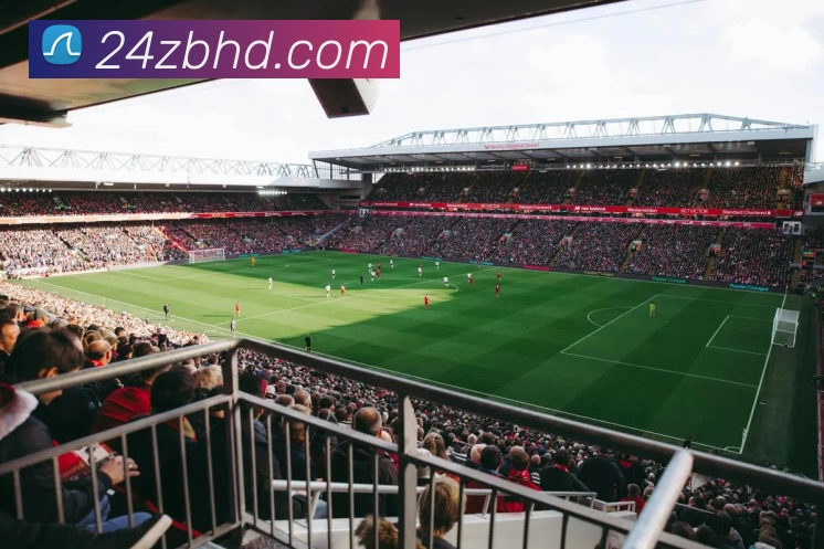 24直播官网服务体系